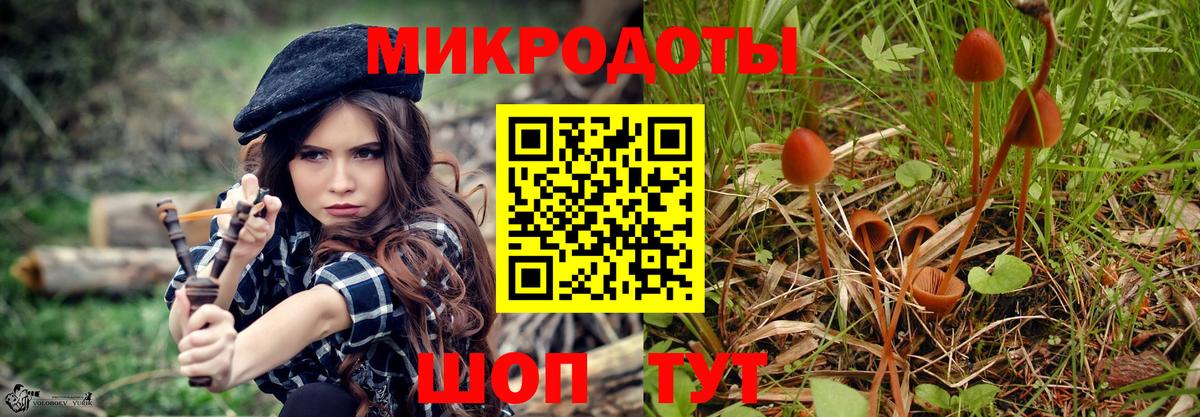 Псилоцибиновые грибы мицелий Дивногорск