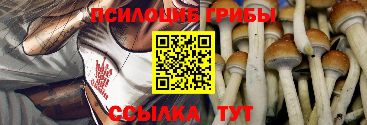 Дивногорск  Галлюциногенные грибы GOLDEN TEACHER  Вход с VPN  Псилоцибиновые грибы GOLDEN TEACHER 